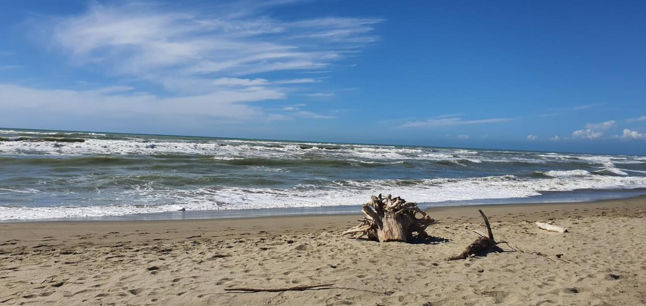 Domusauroom, Relax Nel Cuore Della Versilia - Pet Friendly Viareggio Exteriör bild