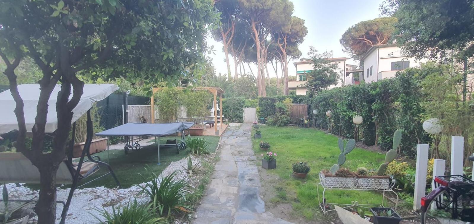 Domusauroom, Relax Nel Cuore Della Versilia - Pet Friendly Viareggio Exteriör bild