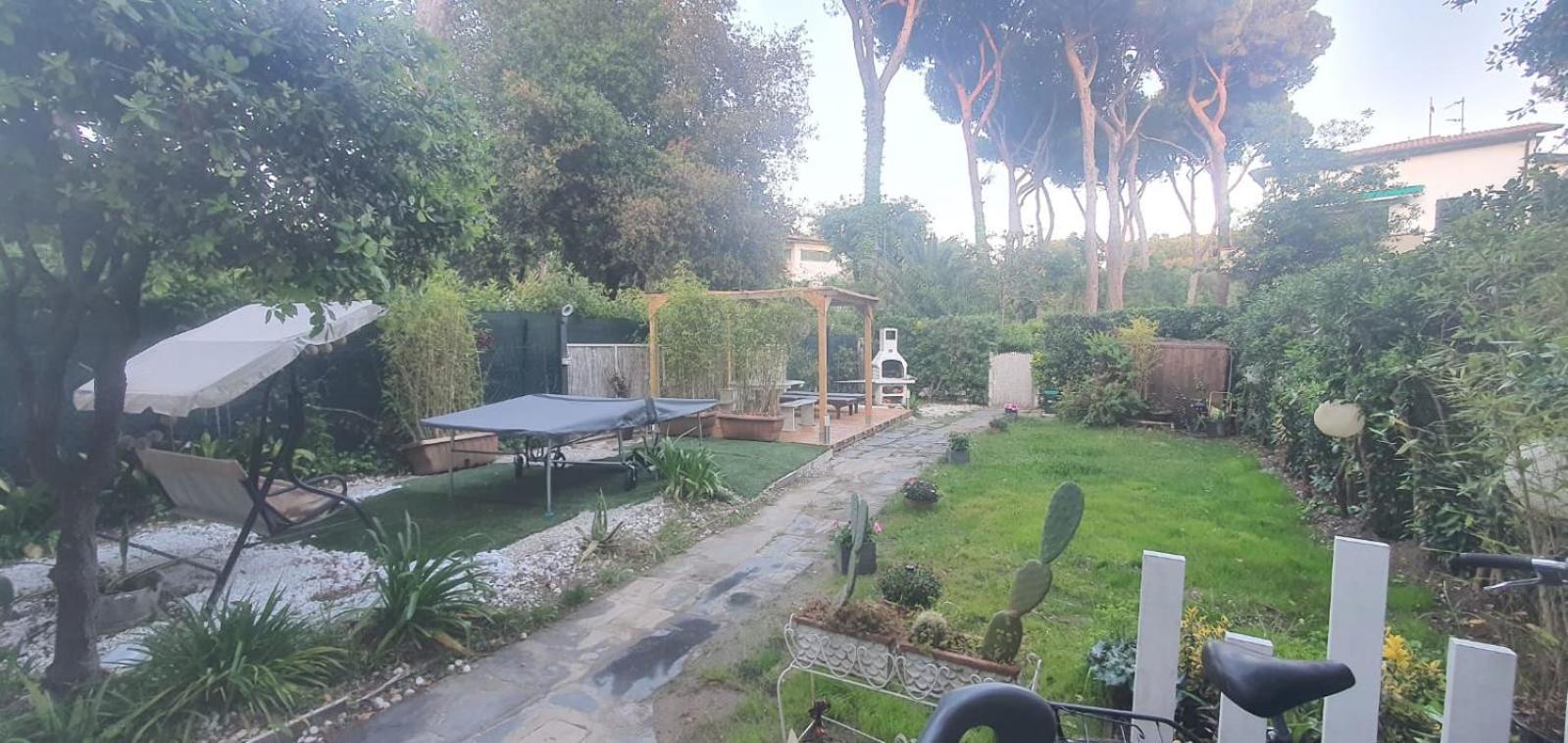 Domusauroom, Relax Nel Cuore Della Versilia - Pet Friendly Viareggio Exteriör bild