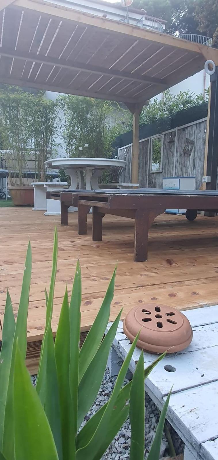Domusauroom, Relax Nel Cuore Della Versilia - Pet Friendly Viareggio Exteriör bild