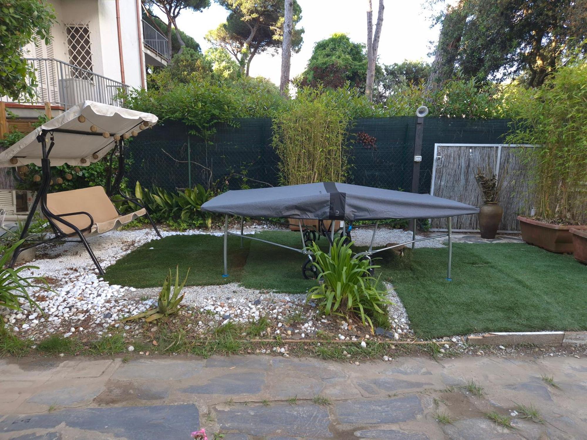Domusauroom, Relax Nel Cuore Della Versilia - Pet Friendly Viareggio Exteriör bild